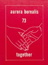 Aurora High School 1973 yearbook cover photo