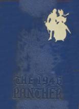 1946 H. B. Plant High School Yearbook from Tampa, Florida cover image