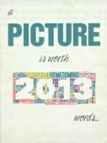 Zumbrota High School 2013 yearbook cover photo