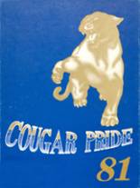New Prairie High School 1981 yearbook cover photo