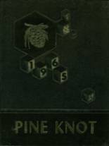Pine Valley Central High School 1965 yearbook cover photo