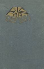 Ionia High School 1913 yearbook cover photo