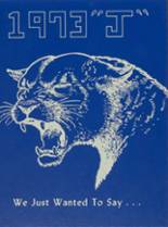 Jersey Community High School 1973 yearbook cover photo