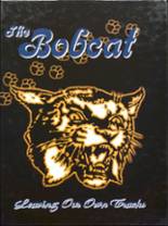 2015 Bowdle High School Yearbook from Bowdle, South Dakota cover image
