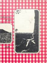 1975 Benton Central High School Yearbook from Oxford, Indiana cover image