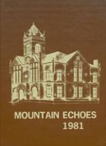 1981 Union County High School Yearbook from Blairsville, Georgia cover image