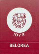 Belfast Central High School 1973 yearbook cover photo