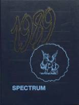 1989 Sun Valley High School Yearbook from Aston, Pennsylvania cover image