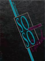 1995 Nelsonville-York High School Yearbook from Nelsonville, Ohio cover image