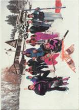 Bigfork High School 1991 yearbook cover photo