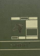 1968 Devine High School Yearbook from Devine, Texas cover image