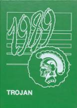 Madison High School 1989 yearbook cover photo