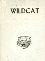Idalou High School 1978 yearbook cover photo