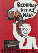 Darlington High School 1991 yearbook cover photo