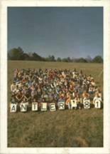 Elk Lake High School 1981 yearbook cover photo