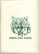 Paden City High School 1975 yearbook cover photo