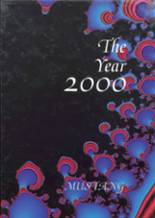 Ridgeview High School 2000 yearbook cover photo