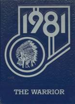Wakonda High School 1981 yearbook cover photo