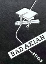 1963 Bad Axe High School Yearbook from Bad axe, Michigan cover image