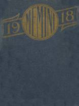 O'Fallon Township High School 1918 yearbook cover photo