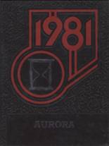 1981 Union High School Yearbook from Grand rapids, Michigan cover image