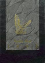 1993 Hopkins Academy Yearbook from Hadley, Massachusetts cover image