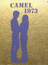 Campbell County High School 1973 yearbook cover photo