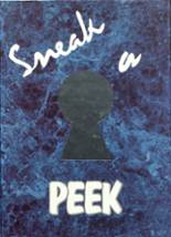 1993 Plano High School Yearbook from Plano, Illinois cover image