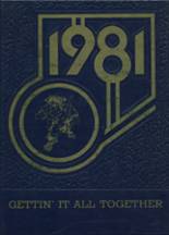 1981 Ajo High School Yearbook from Ajo, Arizona cover image