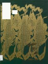 1997 Tippecanoe Valley High School Yearbook from Akron, Indiana cover image