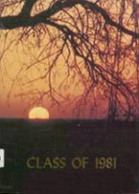 Corinth Central High School 1981 yearbook cover photo