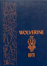 Vestaburg High School 1971 yearbook cover photo