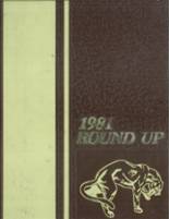 1981 Austin High School Yearbook from El paso, Texas cover image