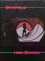 Brimfield High School 2007 yearbook cover photo