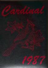 Cochranton Junior-Senior High School 1987 yearbook cover photo