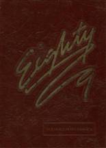 1989 Odessa Montour Central High School Yearbook from Odessa, New York cover image