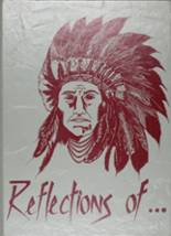 Istrouma High School 1985 yearbook cover photo