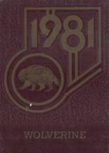 Tolleson Union High School 1981 yearbook cover photo