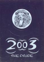 Dryden High School 2003 yearbook cover photo