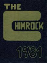 Hollidaysburg High School 1981 yearbook cover photo