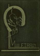 Muleshoe High School 1966 yearbook cover photo