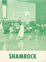 Riddle High School 1959 yearbook cover photo