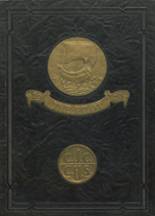 1929 Hayti High School Yearbook from Hayti, Missouri cover image