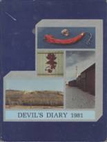 1981 Evanston High School Yearbook from Evanston, Wyoming cover image