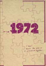 Danville High School 1972 yearbook cover photo