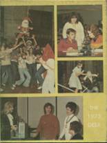 Deer Park High School 1975 yearbook cover photo