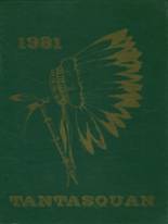 Tantasqua Regional Vocational High School 1981 yearbook cover photo