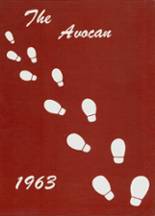 Avoca High School 1963 yearbook cover photo