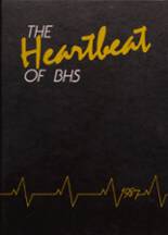 1987 Beaver High School Yearbook from Beaver, Oklahoma cover image