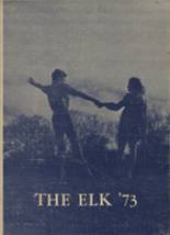 1973 Stratford High School Yearbook from Stratford, Texas cover image